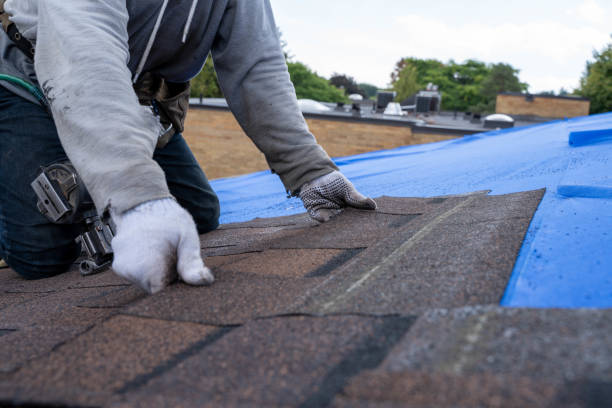 Residential Roof Replacement in Heathrow, FL